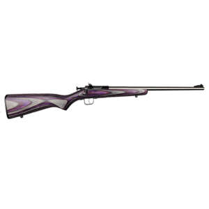 KEYSTONE SPORTING ARMS CRICKETT 22LR SS/PURPLE LAM
