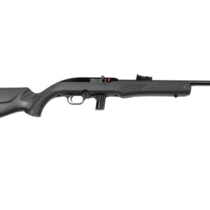 ROSSI RS22 22LR BLK/GRAY 18″ 10+1  #