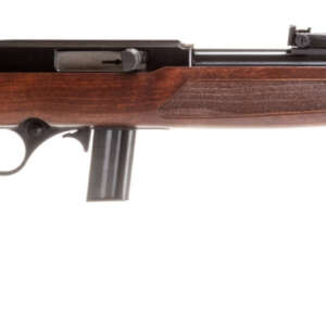 ROSSI RS22 22LR BLK/WD 18" 10+1
