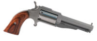 NORTH AMERICAN ARMS THE EARL 22MAG 3″ SS 5SH