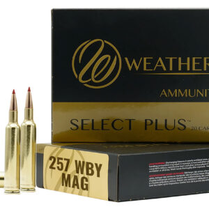 WEATHERBY 257WBY 100GR TSSX