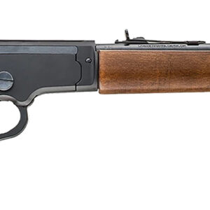 CHIAPPA FIREARMS LA BANDIT TAKEDOWN 22LR 12″