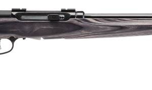 SAVAGE ARMS A17 TARGET 17HMR BL/LAM 22″