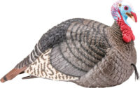 HS STRUT TURKEY DECOY JAKE – STRUT-LITE