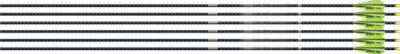 EASTON 4MM FMJ MATCH GRADE 300 – 6-PACK W/ 3″ AAE HYBRID VANES