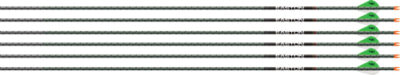 EASTON ARROW 5MM FMJ MAX 340 – 2″ BLAZER HIT INSERT 6PK