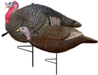 PRIMOS TURKEY DECOY LIL – GOBBSTOPPER JAKE/HEN COMBO
