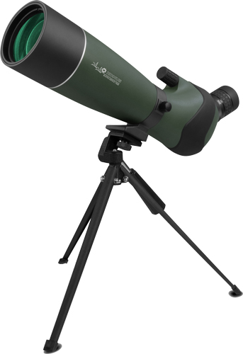 7129.jpg