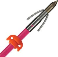 AMS BOWFISHING FIBERGLASS – ARROW CHAOS POINT PINK W/SS