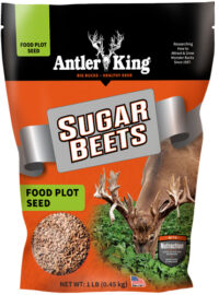 ANTLER KING SUGAR BEETS 1# BAG – ANNUAL 1/8 ACRE
