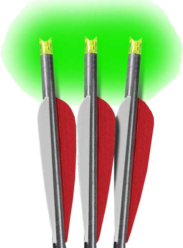 BNECC223G_1.jpg