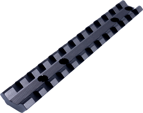 EGW41740.jpg