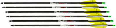 TENPOINT XBOW ARROW PRO ELITE – 400 20″ CARBON ALPHA NOCK 6PK