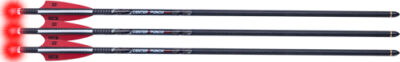 TENPOINT CENTERPUNCH HPX 20″ – ARROW ALPHA-BLAZE HPX 3PK