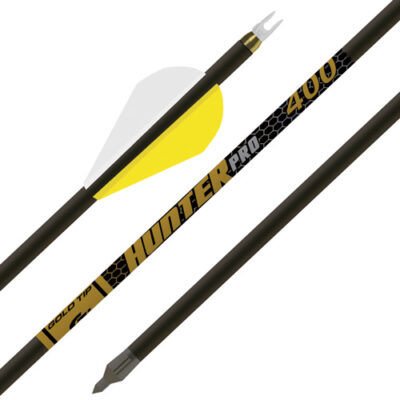 GOLD TIP ARROW HUNTER PRO 340 – 2″ RAPTOR VANES 1/2DOZ