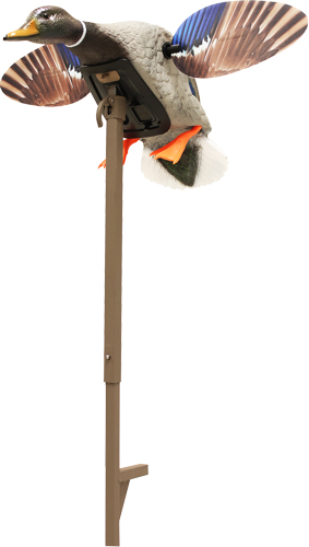 HW24703P.jpg