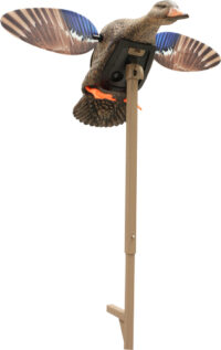 MOJO ELITE SERIES MINI MALLARD – HEN DECOY