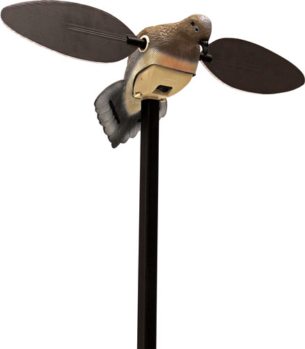 HW2488.jpg