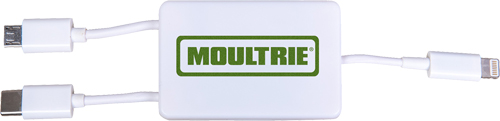 MCA13488.jpg