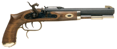 P1100.gif