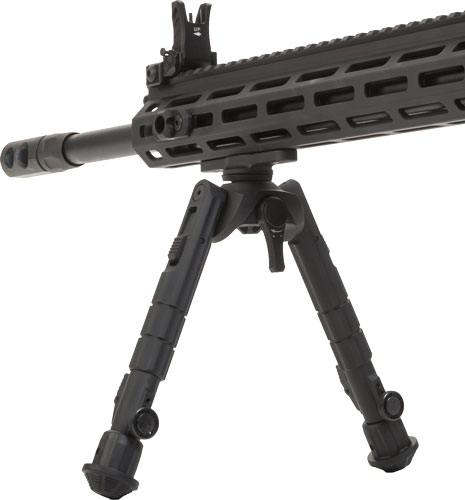T9541MC.jpg