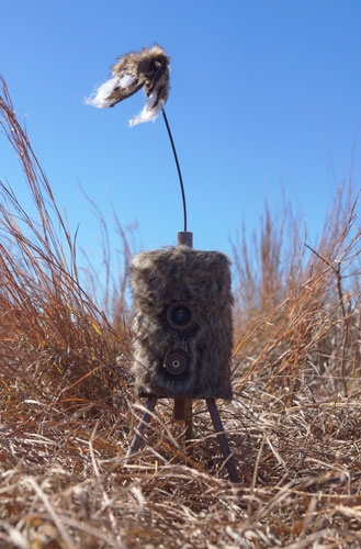 hw2304_field.jpg