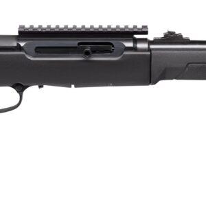 SAVAGE ARMS A22 TAKEDOWN 22LR BL/SY 10+1