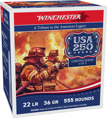 WINCHESTER 22LR 36GR PLATED HP – 1280FPS 555RD 10BX/CS 250TH AN