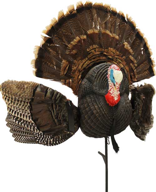 MOJO SCOOT N SHOOT MAX TURKEY – DECOY