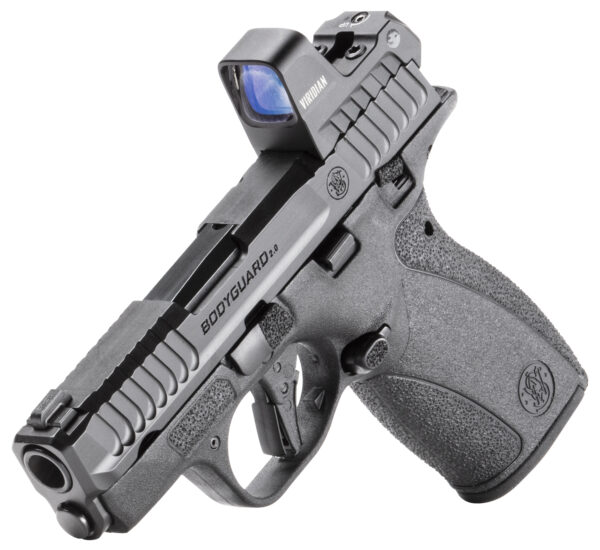 SW BODYGUARD 2.0 W/RFX1 380ACP 2.75 TS 10/12RD