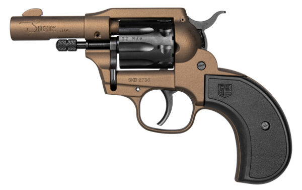DBF SIDEKICK 22LR/MAG BIRDSHEAD GRIP 3 BRZ